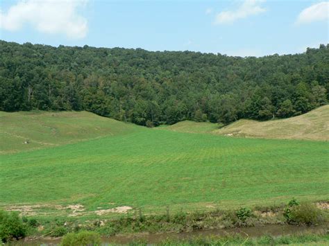 Land in kentucky. Average purchase price. $375,801. Median purchase price. $250,000. Average property size. 91.7 acres. County. Region. Find hunting land for sale in Kentucky including deer and duck hunting property, small hunting cabins, large hunting ranches, and … 