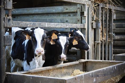 Landbouwmachine levensduur verlengen