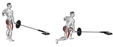 Landmine reverse lunge alternative. .  <a href=http://tt1100-bitrix.mi...