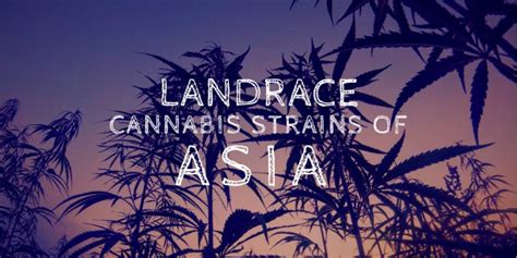 Landrace Cannabis Strains Of Asia - Brian D. Colwell