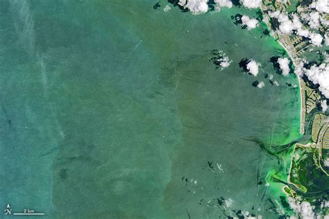 Landsat Image Gallery - Algae Abound Along Florida Coast - NASA