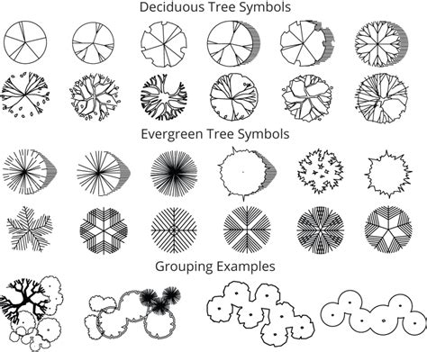 Landscape Architecture Plant Symbols