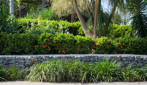 Landscaping - My Hervey Bay