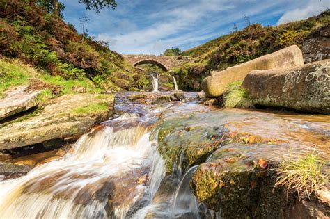 Landscaping - Three Shires