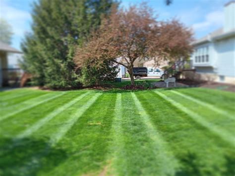 Landscaping And Lawn Services in Moline, IL - Yellow Pages