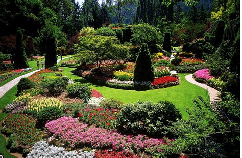 Landscaping designer. Aug 8, 2022 · Once you have a landscaping design concept, select greenery, colorful flowers, and more. Once you have a base of plant varieties, you can add in focal points such as a firepit for visual interest ... 