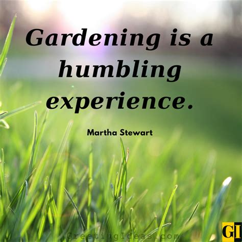 Landscaping quotes. Mar 6, 2023 · Here’s a definitive collection of the 80 most inspiring gardening quotes ever. 1. A flower falls, even though we love it; and a weed grows, even though we do not love it ~ Dogen 2. A garden is a grand teacher. It teaches patience and careful watchfulness; it teaches industry and thrift; above all it teaches entire trust ~ Gertrude Jekyll 3. 