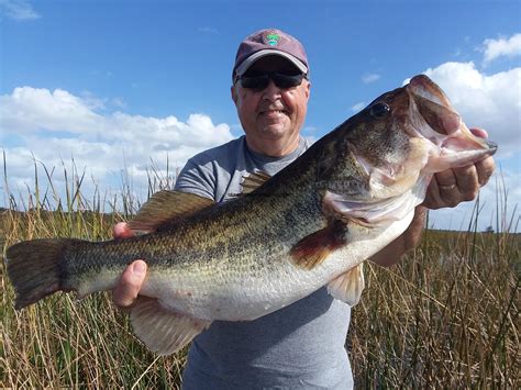 Lane Takes Southern Open on Lake Okeechobee – Ultimate Bass