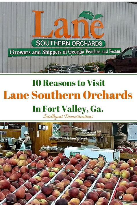 Lane orchards. Things To Know About Lane orchards. 