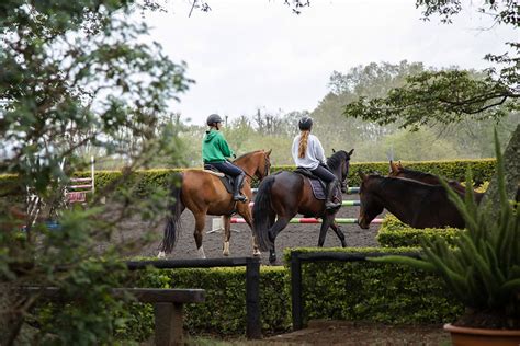 Langley Equestrian Centre and Foresyte Stud, Summerveld