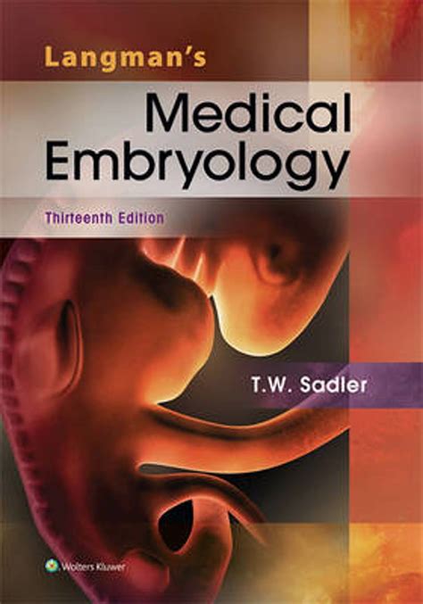 Read Online Langmans Medical Embryology By Thomas W Sadler