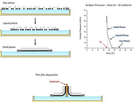 Here we applied the Langmuir-Blodgett technique to align ZnO nanowires between electrodes being two microns apart in a configuration that possess both the quality of single nanowire devices and the advantages of multiple nanowires. We achieved alignment without using lithography, so the procedure is inexpensive and scalable.. 