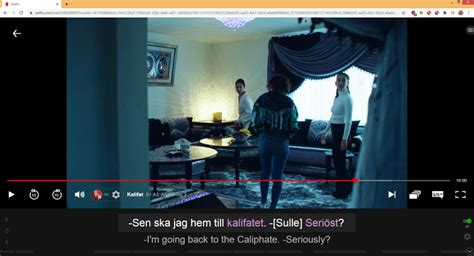 Language Learning with Netflix Your Language Immersion