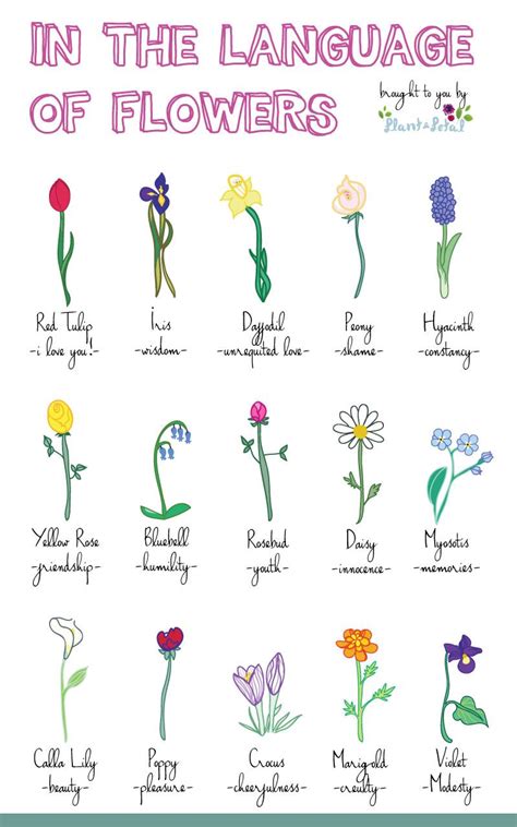 In the language of flowers, every flower has its meaning. The symbolism behind the names of each flower can even change depending on the color or the …