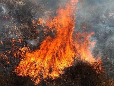Lantz Fire grows to 15 acres in Moreno Valley