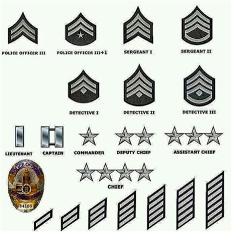 Lapd rank structure. Learn about the ranks of the LAPD, including police officer, detective, Sergeant, Captain, Commander, Deputy Chief, and Chief of Police. Find out the symbols, insignias, and pay grades of each rank, as well as famous quotes about ranks. 
