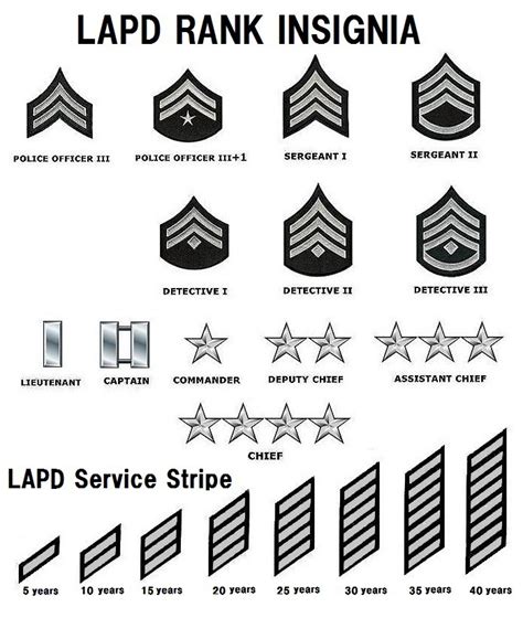 LAPD junior officer ranks Rank Insignia Notes; Police Detective III At least two years service as Sergeant II or Detective III before eligibility for promotion to Lieutenant I. Police Sergeant II Police Detective II Police Sergeant I Police Detective I Police Officer III+1 ‡ . 