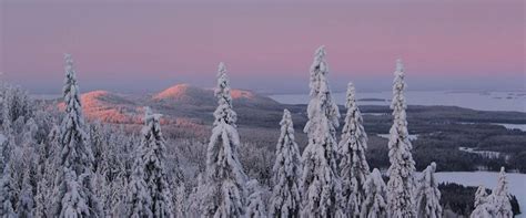 Lapsen rekisteröinti syntymän jälkeen: määräajat ja asiakirjat.