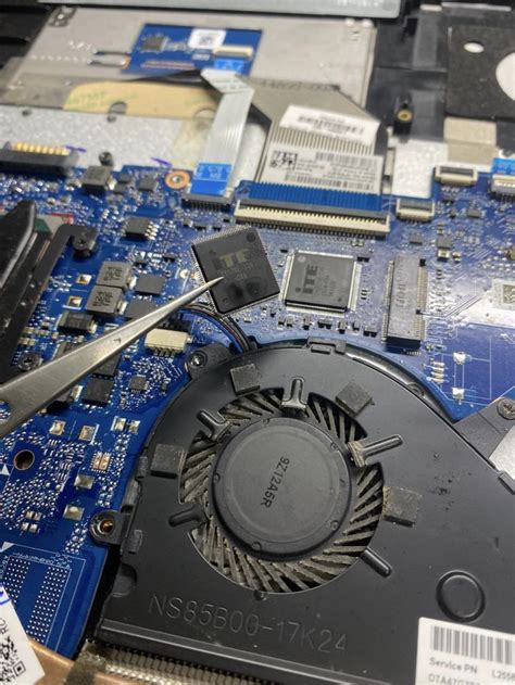 veodersti.rgarabwor.edu.pl. 