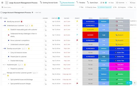 Large Account Management Process Template by ClickUp™