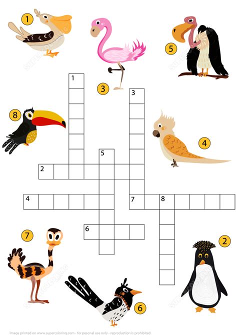 Large Billed Bird Crossword Clue