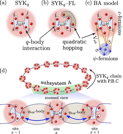 Large N Models A The Q Body Syk Model Sykq For Complex Fermions Download Scientific Diagram