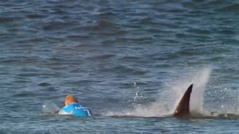 Large Shark Bites Texas Surfer After It