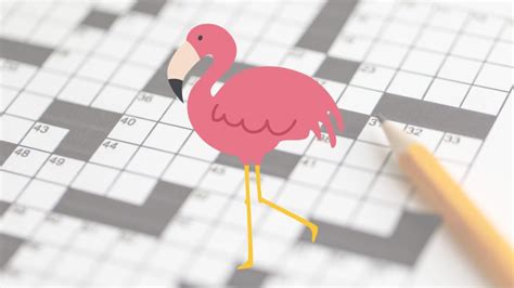 Large Wading Bird Crossword Clue - sporcle.com