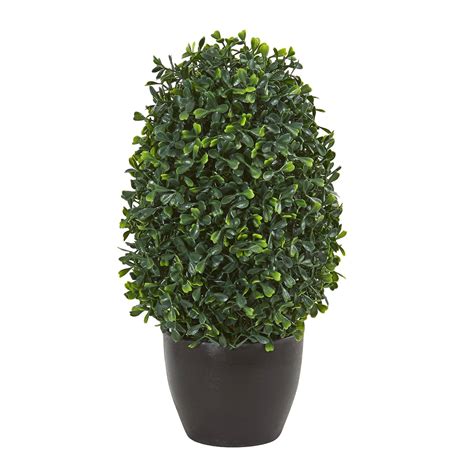 Large artificial orchid arrangements.  Boxwood Topiary Plant, UV-Resist...