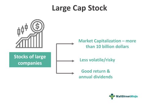 Large cap stocks are established companies that