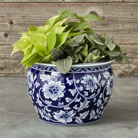 Large ceramic planters indoor.  How to use large in a sentence.  Both big and g...