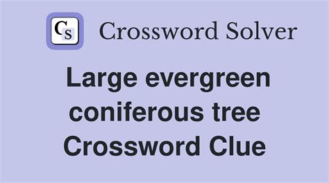 Large coniferous tree Crossword Clue Wordplays.com