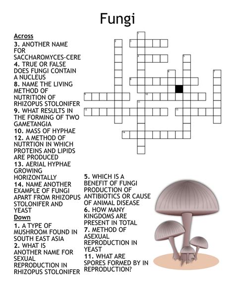 Large edible mushroom crossword clue. Things To Know About Large edible mushroom crossword clue. 
