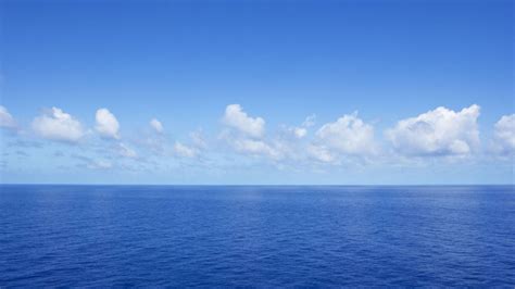 Large_Ocean Onlyfans Leaked 🔥 +18