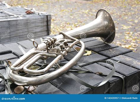 Largest and lowest-pitched instrument in the brass family (4) …