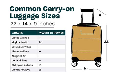 Largest carry on bag. Also, please check with your airline before packing to inquire about their carry-on baggage guidelines. U.S. Department of Transportation. Federal Aviation Administration 800 Independence Avenue, SW Washington, DC 20591 866.835.5322 (866-TELL-FAA) Contact Us. Get Important Info/Data. 