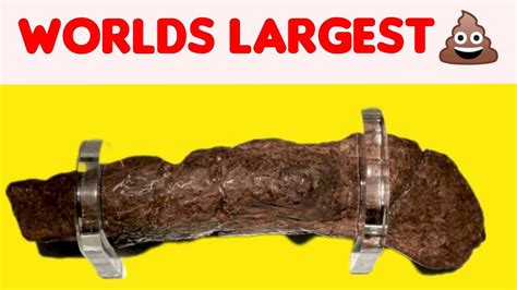 Sep 5, 2014 · There aren't many things defensive lineman Jason Babin can claim on his list of achievements. One he now can is the temporary assumption by the Guinness Book of World Records that he was in fact the largest poop ever taken.