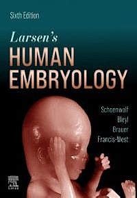 Full Download Larsens Human Embryology By Gary C Schoenwolf