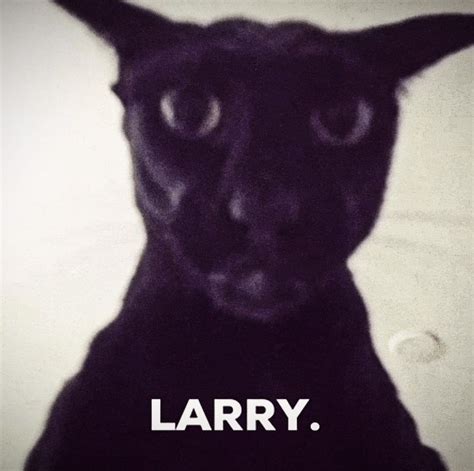 Laryy Pellegrine Leaks [HD] 🔥 168 Photos