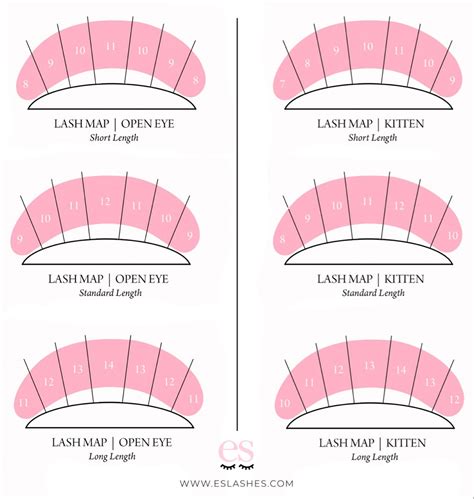 Lash Map Template