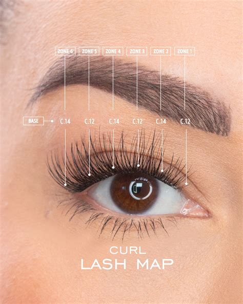 Lashify Lashes Lot, Quantity 4 eBay