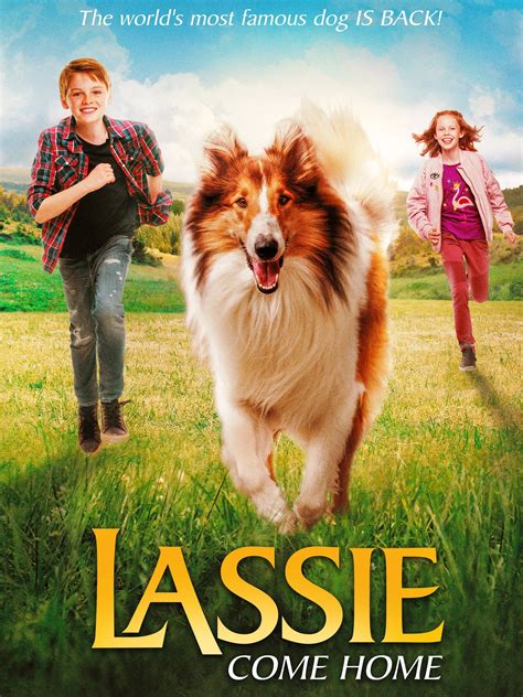 Lassie Come Home - Rotten Tomatoes