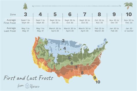 Here are the expected dates of the last spring frost based on zone. Take these values with a grain of salt, as a more general estimate than those based on historic climate actuals. Zone 2: May 15 to June 2. Zone 3: May 5 to May 31. Zone 4: May 1 to May 20. Zone 5: April 10 to May 10. Zone 6: April 5 to April 30.. 