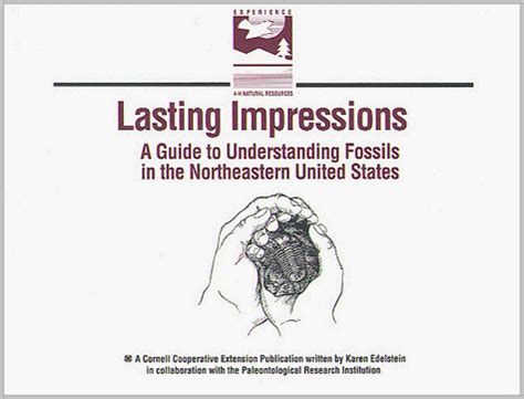 Lasting impressions a guide to understanding fossils in the northeastern united states. - Repair manual for karcher pressure washer 580.