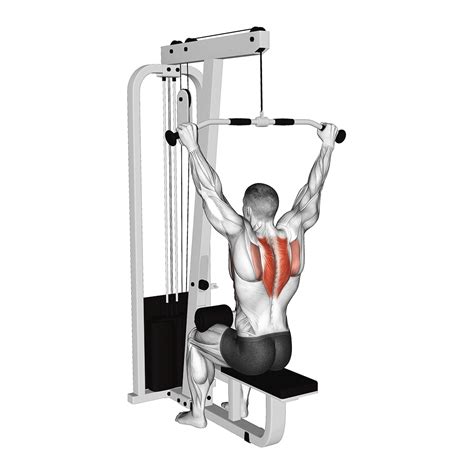 Lat Pulldown Machine Gif