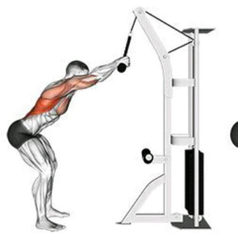 Lat pushdown. Things To Know About Lat pushdown. 