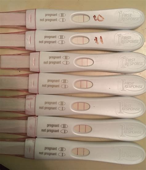Late bfp progression. a. abqkathy595. Jul 8, 2016 at 8:53 PM. So last period was 6-6 with a 30 day cycle and I ovulated (based on opk) on cycle day 17 (June 22). So my hubby and I have been trying since February of this year. I typically ovulate cycle day 14 but it was delayed this cycle. If I am pregnant I would be due 3-15-17 so just over 4 weeks and my period was ... 