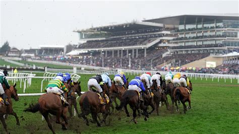 Latest News Cheltenham Festiva