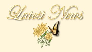 Latest News from Cilloette Butterflies: