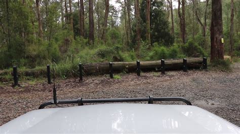 Latrobe River Campground - Latrobe State Forest - Victoria